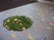 Укладка тротуарной плитки,  брусчатки обьем от 50 м2 в Нарочь
